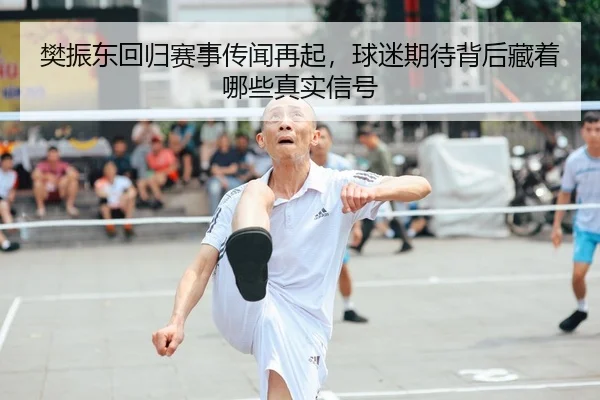 樊振东回归赛事传闻再起，球迷期待背后藏着哪些真实信号